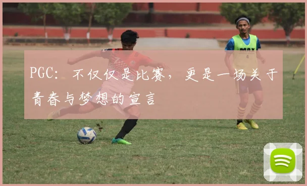 PGC：不仅仅是比赛，更是一场关于青春与梦想的宣言